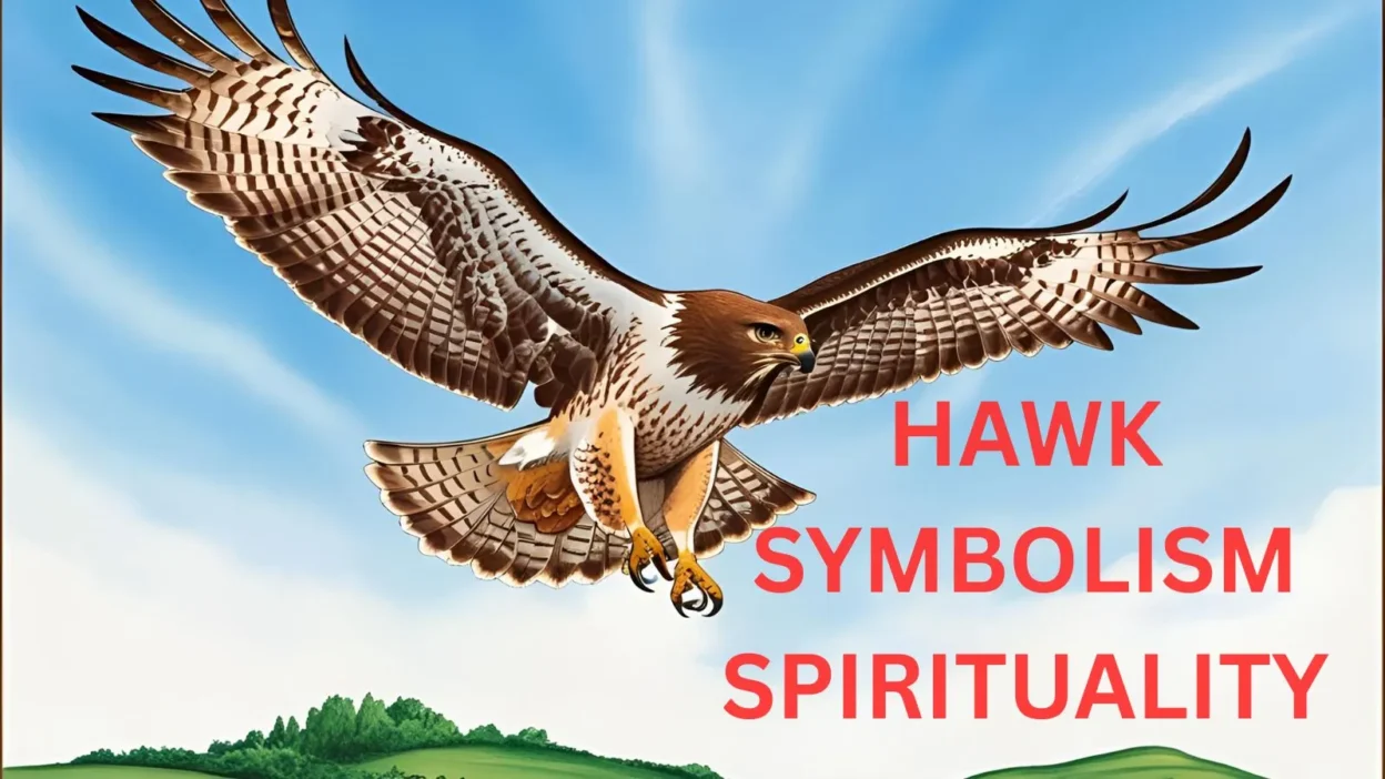 hawk symbolism spirituality