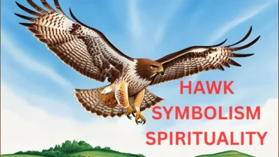 hawk symbolism spirituality