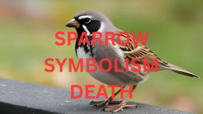 sparrow symbolism death